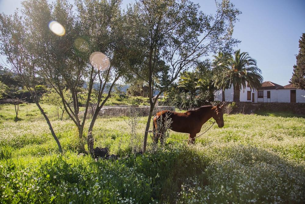 La Casona Del Patio Ξενοδοχείο Santiago del Teide Εξωτερικό φωτογραφία