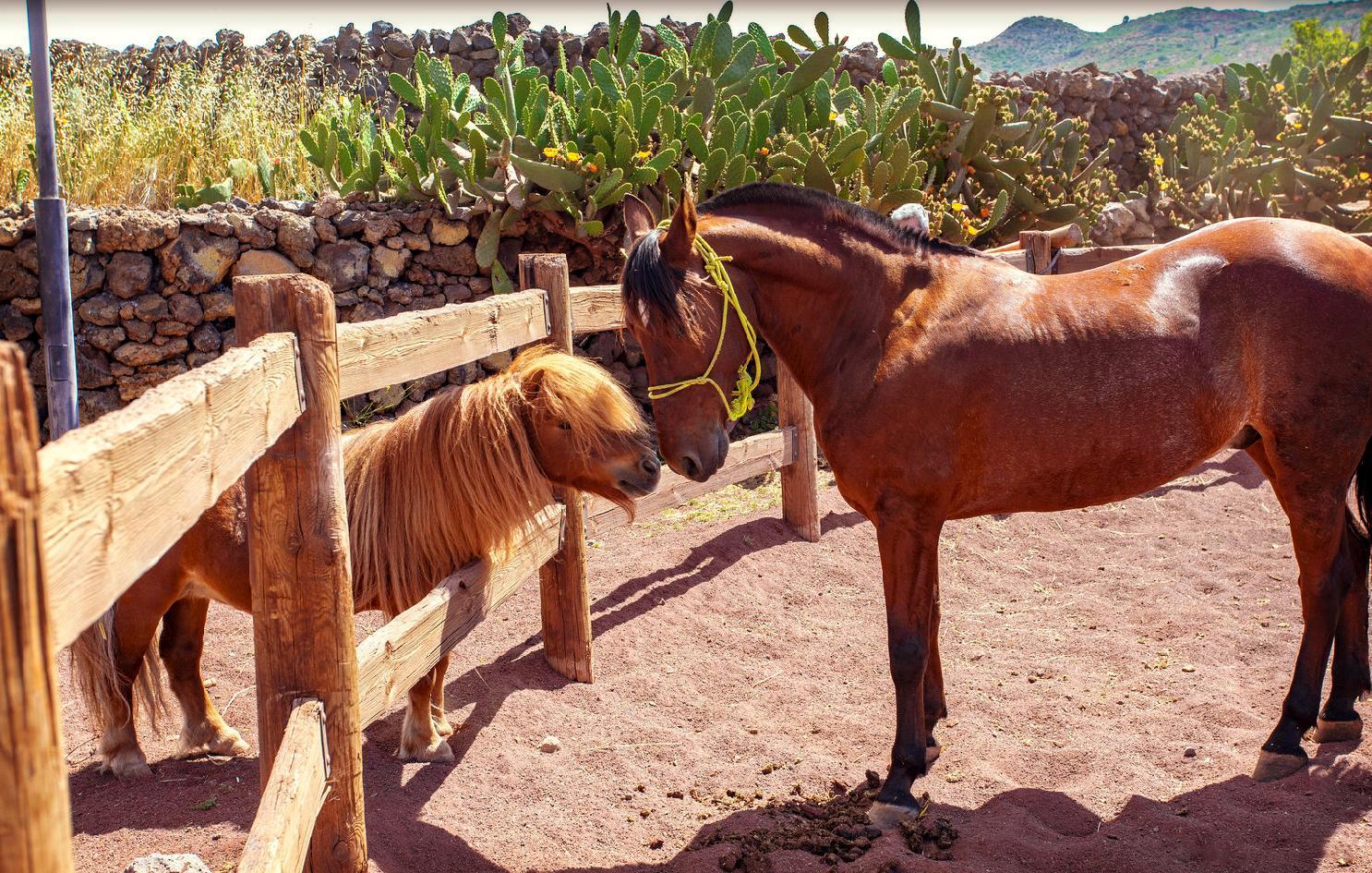La Casona Del Patio Ξενοδοχείο Santiago del Teide Εξωτερικό φωτογραφία